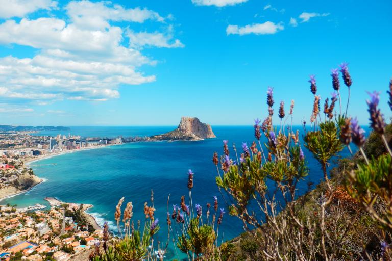 Teaser image for TUI fly programme à nouveau des vols vers Alicante